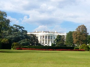 dc1